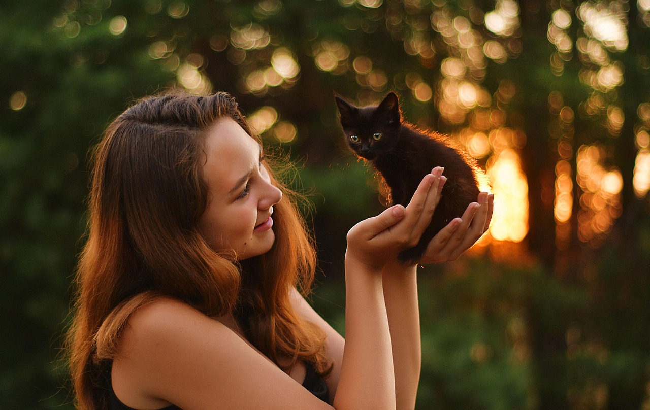 evening, kitten, woman, sunset, animal, girl, nature, light, bokeh, cute, outdoors, pet